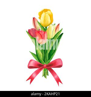 Tulpen gelb und rot Farben üppigen Bouquet auf weißem Hintergrund. Aquarell Handzeichnung Illustration. Kunst für die Dekoration und Gestaltung des Drucks, greeti Stockfoto