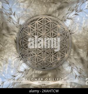 Goldene Blume des Lebens auf schönen Herbst Gras Hintergrund Stockfoto