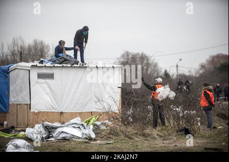 Eine Frau droht, ihr Handgelenk mit einem Messer zu schneiden, als die französische Polizei sie und einen Mann von der Spitze einer Hütte wegnimmt, als sie am 01. März 2016 in Calais, Frankreich, das Flüchtlingslager „Dschungel“ räumen. Die Behörden kehren aus weiteren Teilen des Flüchtlingslagers „Dschungel“ in Calais zurück, um Flüchtlingsunterkünfte zu räumen und versuchen, Menschen in Transportcontainer auf einem anderen Teil des Geländes zu bringen. Französische Abbruchteams begannen gestern mit dem Abbau von Hütten. Es wird erwartet, dass sich der Widerstand fortsetzt und die Polizei über Nacht Tränengas auf Migranten abfeuerte, die Steine warfen. Ein Gerichtsurteil am Donnerstag billigte einen Plan der französischen Regierung zur Freigabe von Teilen Stockfoto