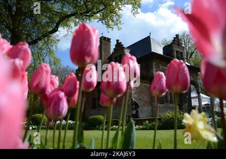 Das Blumenfest von 'Floralia' 2016, das zum 13.. Mal im Schloss von Groot-Bijgaarden vom 6. April bis zum 6. Mai in Brüssel, Belgien, stattfand. Das Festival ist fast am Ende, aber viele Menschen zu Fuß und Photophs in den Blumengärten des Schlosses zu nehmen, obwohl die Temperatur der Luft erreicht 0 Grad Celsius Brüssel, Belgien. Stockfoto