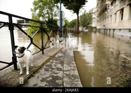 Die Menschen machen Fotos und beobachten, wie das Wasser in der Nähe des Eiffelturms aufsteigt, während die Böschungen des Flusses seine nach vier Tagen starken Regens am 3. Juni 2016 in Paris, Frankreich, überströmen. Nordfrankreich erlebt derzeit Regenwetter und verursacht Überschwemmungen in Teilen Frankreichs, insbesondere in Paris, wo die French Open Verzögerungen bei den Spielen hatten. (Foto von Mehdi Taamallah/NurPhoto) *** Bitte benutzen Sie die Gutschrift aus dem Kreditfeld *** Stockfoto