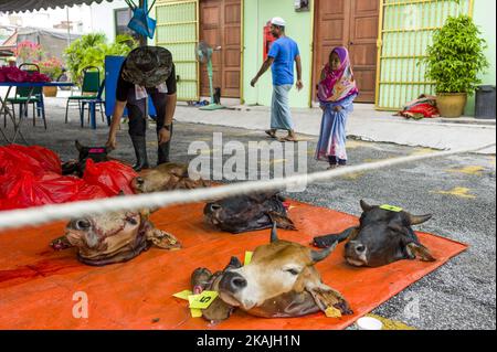 Verteilung der Kühe nach der Feier von Eid al-Adha in Kuala Lumpur, Malaysia am 12. September 2016. Eid al-Adha wird in der ganzen muslimischen Welt zum Gedenken an Abrahams Bereitschaft gefeiert, seinen Sohn Gott mit Kühen und Ziegen zu opfern, die traditionell an diesem heiligen Tag geschlachtet werden. (Foto von Chris Jung/NurPhoto) *** Bitte nutzen Sie die Gutschrift aus dem Kreditfeld *** Stockfoto