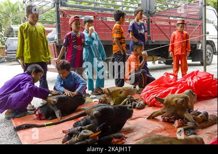 Verteilung der Kühe nach der Feier von Eid al-Adha in Kuala Lumpur, Malaysia am 12. September 2016. Eid al-Adha wird in der ganzen muslimischen Welt zum Gedenken an Abrahams Bereitschaft gefeiert, seinen Sohn Gott mit Kühen und Ziegen zu opfern, die traditionell an diesem heiligen Tag geschlachtet werden. (Foto von Chris Jung/NurPhoto) *** Bitte nutzen Sie die Gutschrift aus dem Kreditfeld *** Stockfoto