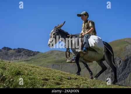 Ein Junge reitet auf einem Esel auf dem Weg zum Lager der Hirten in der Nähe des Dorfes Khinalig, Region Quba, Aserbaidschan. Während der Sommerferien arbeitet er mit seinem Vater als Hirte. Sie gehen in die Berge, um tagsüber neue Weideplätze für Schafe zu finden und kommen am Abend ins Lager zurück. Eine Hirtenschicht hat eine Dauer von 5 Tagen. ( (Foto von Oleksandr Rupeta/NurPhoto)) *** Bitte nutzen Sie die Gutschrift aus dem Kreditfeld *** Stockfoto