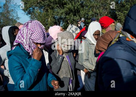 Eine Gruppe weiblicher Migranten demonstriert am 25. Oktober 2016 auf der Straße entlang des Dschungels in Calais, Frankreich. Da sie vom Innenministerium eine Hilfe versprochen hatten, die im Vereinigten Königreich akzeptiert werden sollte, beschlossen sie, mit ihren Gesichtern für die meisten von ihnen bedeckt, ihre Frustation während der letzten Tage des Dschungels auf die Medien zu schießen. (Foto von Guillaume Pinon/NurPhoto) *** Bitte nutzen Sie die Gutschrift aus dem Kreditfeld *** Stockfoto