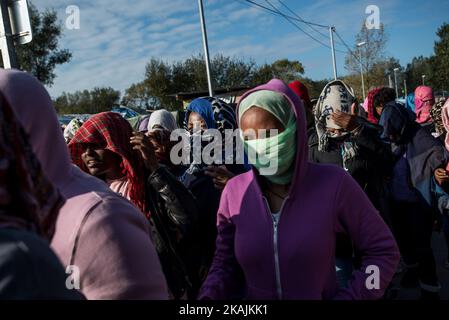 Eine Gruppe weiblicher Migranten demonstriert am 25. Oktober 2016 auf der Straße entlang des Dschungels in Calais, Frankreich. Da sie vom Innenministerium eine Hilfe versprochen hatten, die im Vereinigten Königreich akzeptiert werden sollte, beschlossen sie, mit ihren Gesichtern für die meisten von ihnen bedeckt, ihre Frustation während der letzten Tage des Dschungels auf die Medien zu schießen. (Foto von Guillaume Pinon/NurPhoto) *** Bitte nutzen Sie die Gutschrift aus dem Kreditfeld *** Stockfoto