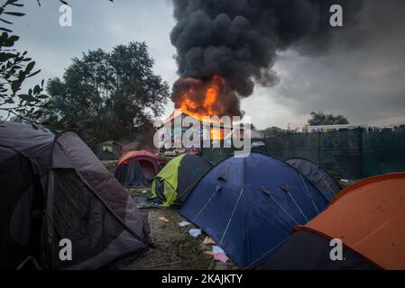 Chaotische Szenen des Dschungels, nach vielen Bränden, die am 26. Oktober 2016 in Calais, Frankreich, aufgestellt wurden. Den ganzen Tag über wurden rund um das Lager Brände aufgestellt. Viele Zelte, Geschäfte wurden verbrannt. Die Feuerwehr konnte mit Unterstützung der französischen Polizei die Situation unter Kontrolle halten. Allerdings wurde gegen 1 Uhr der Dschungel evakuiert, um alle zu schützen. (Foto von Guillaume Pinon/NurPhoto) *** Bitte nutzen Sie die Gutschrift aus dem Kreditfeld *** Stockfoto