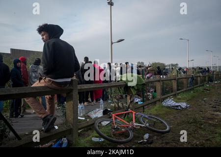 Ab 4 Uhr morgens kamen die ersten Migraner am Eingang des Lagers an. Es wurde mit langen Wartezeiten gerechnet. Calais, Frankreich am 26. Oktober 2016. (Foto von Guillaume Pinon/NurPhoto) *** Bitte nutzen Sie die Gutschrift aus dem Kreditfeld *** Stockfoto