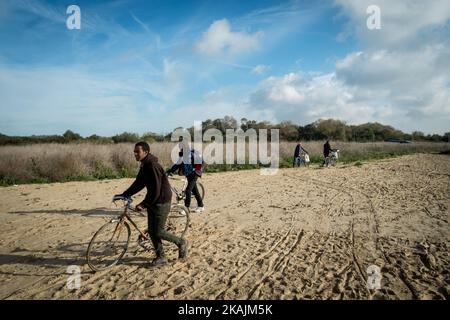 Migranten, die in den Dschungel und aus dem Dschungel gehen. Es ist eine totale Verwirrung. Calais 27 /10/2016 Stockfoto