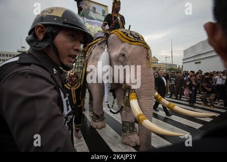 Königliche Elefanten und Mahouts aus der Provinz Ayuthaya marschieren am 08. November 2016 zum Großen Palast, um dem verstorbenen thailändischen König Bhumibol Adulyadej in Bangkok, Thailand, Respekt zu zollen. Insgesamt 11 rosa Elefanten, in Weiß gepudert, kamen im Headquarter des Territorial Defense Command an, um sich das königliche Elefantenkleid zu holen, bevor sie sich vor dem Großen Palast aufmachen. (Foto von Guillaume Payen/NurPhoto) *** Bitte nutzen Sie die Gutschrift aus dem Kreditfeld *** Stockfoto