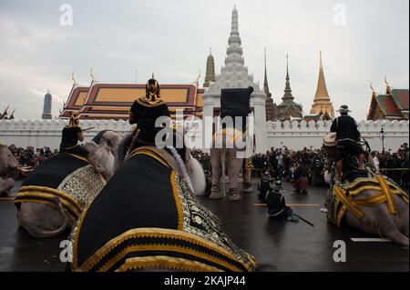 Elefanten zollen dem verstorbenen König Bhumibol Adulyadej am 8. November 2016 vor dem Großen Palast Bangkok, Thailand, Respekt. Thailands König Bhumibol Adulyadej starb am 13. Oktober im Alter von 88 Jahren nach Jahren kranker Gesundheit, beendete eine siebenzehnjährige Regierungszeit und ließ die politisch gespaltene Nation ohne ihre zentrale Säule der Einheit zurück. (Foto von Anusak Laowias/NurPhoto) *** Bitte nutzen Sie die Gutschrift aus dem Kreditfeld *** Stockfoto