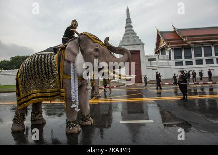 Königliche Elefanten und Mahouts aus der Provinz Ayuthaya marschieren am 08. November 2016 zum Großen Palast, um dem verstorbenen thailändischen König Bhumibol Adulyadej in Bangkok, Thailand, Respekt zu zollen. Insgesamt 11 rosa Elefanten, in Weiß gepudert, kamen im Headquarter des Territorial Defense Command an, um sich das königliche Elefantenkleid zu holen, bevor sie sich vor dem Großen Palast aufmachen. (Foto von Guillaume Payen/NurPhoto) *** Bitte nutzen Sie die Gutschrift aus dem Kreditfeld *** Stockfoto