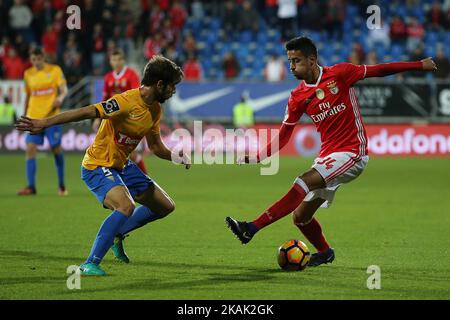 Estorils-Verteidiger Joel Ferreira aus Portugal (L) und Benficas-Verteidiger Andre Almeida aus Portugal (R) beim Premier League 2016/17-Spiel zwischen SL Benfica und Estoril Praia SAD am 17. Dezember 2016 im Estadio Antonio Coimbra da Mota in Estoril. (Foto von Bruno Barros / DPI / NurPhoto) *** Bitte nutzen Sie die Gutschrift aus dem Kreditfeld *** Stockfoto