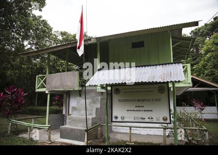 Weg Kambas, Lampung, 18. Dezember 2016 : einer der ERU-Zeltlager am Weg Kambas-lampung. Elephant Respond Unit (ERU) ist eine Unterorganisation des indonesischen Umweltministeriums, die von der nicht-Regierungsorganisation Asian Elephant Support, der International Elephant Foundation, Wildlife Without Borders und der WTG (Welttierschutz geselichft e.V) ohne Unterstützung der indonesischen Regierung finanziert wird. Sie wurde 2010 gegründet und befindet sich im Way Kambas National Park-Lampung-Indonesia. Herr NAZARUDDIN, der Koordinator der ERU, leitete Hunderte von Mitarbeitern und Voulenteern im Nationalpark bei der Sicherung der nationa Stockfoto