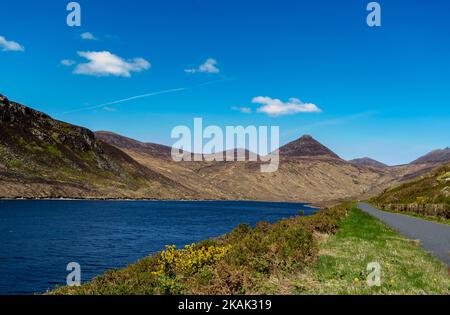 Die Mourne Berge mit Blick auf den Silent Valley Reservoir Stockfoto