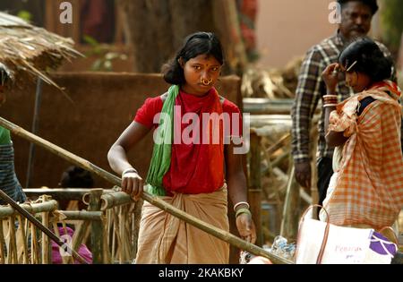 Indigene Dongria-Kastenstämme schauen sich ihren temporären traditionellen Hütten nahe, während sie sie im Vorfeld einer jährlichen Stammesmesse vorbereiten, die am Tag der Republik Indien in der ostindischen Stadt Bhubaneswar, Indien, am Samstag, den 21. Januar 2017 beginnt. Diese Dongria-Kastenstämme leben in den Niyamgiri-Hügeln des Kalahandi-Bezirks des indischen Staates Odisha. (Foto von NurPhoto) *** Bitte nutzen Sie die Gutschrift aus dem Kreditfeld *** Stockfoto