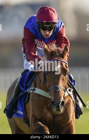 Aktenfoto vom 27-02-2021 von Tritonic unter Adrian Heskin. Tritonic könnte derjenige sein, der bei dem, was verspricht, eine Fluktuationsverlängerung des BetGoodwin November Handicap bei Doncaster zu sein. Ausgabedatum: Donnerstag, 3. November 2022. Stockfoto