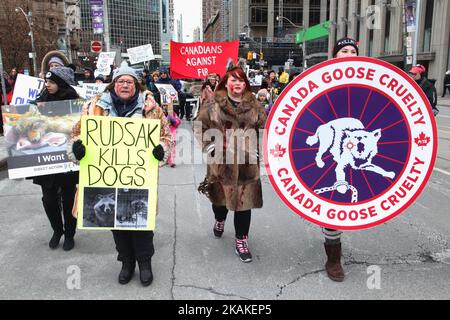 Mitglieder von PETA (People for the Ethical Treatment of Animals) und andere Tierrechtsaktivisten (einige mit blutüberzogenen gefälschten Pelzen) marschierten am 29. Januar 2017 durch die Innenstadt von Toronto, Ontario, Kanada, um gegen den Pelzhandel und die Verwendung von Fell in Mode zu protestieren. Demonstranten hielten vor dem Canada Goose Store sowie mehrere Furrier an und nahmen den Protest schließlich im Toronto Eaton Centre auf, bevor sie von Polizei und Sicherheit eskortiert wurden. (Foto by Creative Touch Imaging Ltd./NurPhoto) *** Bitte nutzen Sie die Gutschrift aus dem Kreditfeld *** Stockfoto