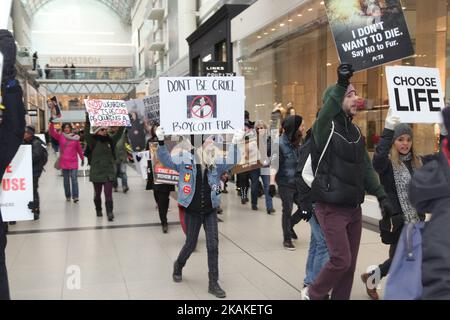 Mitglieder von People for the Ethical Treatment of Animals (PETA) und andere Tierrechtsaktivisten protestieren am 29. Januar 2017 im Toronto Eaton Centre in der Innenstadt von Toronto, Ontario, Kanada. Der Protest war gegen den Pelzhandel und die Verwendung von Pelz in Mode und hielt vor dem Canada Goose Store sowie mehreren Furrierern an und nahm den Protest schließlich im Toronto Eaton Center auf, bevor er von Polizei und Sicherheit eskortiert wurde. (Foto by Creative Touch Imaging Ltd./NurPhoto) *** Bitte nutzen Sie die Gutschrift aus dem Kreditfeld *** Stockfoto