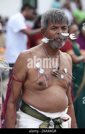 Tamilischer Hindu-Anhänger mit Körperdurchbohrungen und Gesichtsspiessen als Bußakt während des Murugan Ther Festivals in einem tamilischen Hindu-Tempel in Ontario, Kanada. Die Gläubigen bereiten sich auf die Feier vor, indem sie sich 11 bis 25 Tage vor dem Fest durch Gebet, Zölibat und Fasten reinigen. Während dieses religiösen Festivals zeigen mehrere Anhänger ihre Hingabe, indem sie Opfer darbringen und ihr Fleisch mit Metallhaken und Spießen durchstechen. (Foto by Creative Touch Imaging Ltd./NurPhoto) *** Bitte nutzen Sie die Gutschrift aus dem Kreditfeld *** Stockfoto