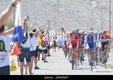 Ein Hauptfeld von Fahrern während der Eröffnungsphase, ein 176,5km von Al Sawadi Beach zu Naseem Park der Radtour 2017 von Oman. Am Dienstag, den 14. Februar 2017, in Maskat, Oman. Foto von Artur Widak *** Bitte nutzen Sie die Gutschrift aus dem Kreditfeld *** Stockfoto