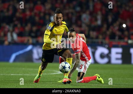 Der Dortmunder Stürmer Pierre-Emerick Aubameyang (L) kämpft mit Benficas Mittelfeldspieler Ljubomir Fejsa während des UEFA Champions League-Laufs 16 des ersten Fußballspiels SL Benfica gegen Borussia Dortmund am 14. Februar 2017 im Luz-Stadion in Lissabon, Portugal, um den Ball. (Foto von Pedro FiÃƒÂºza/NurPhoto) *** Bitte nutzen Sie die Gutschrift aus dem Kreditfeld *** Stockfoto