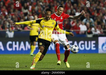 Der Dortmunder Stürmer Aubameyang (L) wetteiferte mit Benficas Mittelfeldspieler Ljubomir Fejsa (R) während des Champions-League-2016/17-Spiels zwischen SL Benfica und BVB Borussia Dortmund am 14. Februar 2017 in Lissabon um den Ball. (Foto von Carlos Palma/NurPhoto) *** Bitte nutzen Sie die Gutschrift aus dem Kreditfeld *** Stockfoto