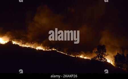 Wildes Feuer über den Port Hills im Victoria Park in der Nähe von Christchurch, Neuseeland, Mittwoch, 15. Februar 2017. Bis zu 15 Hubschrauber und mehr als 100 Feuerwehrleute haben zwei massive Waldbrände bekämpft, die seit ihrem Ausbruch am Montagabend über 700 Hektar verbrannt haben. (Foto von Matias Delacroix/NurPhoto) *** Bitte nutzen Sie die Gutschrift aus dem Kreditfeld *** Stockfoto