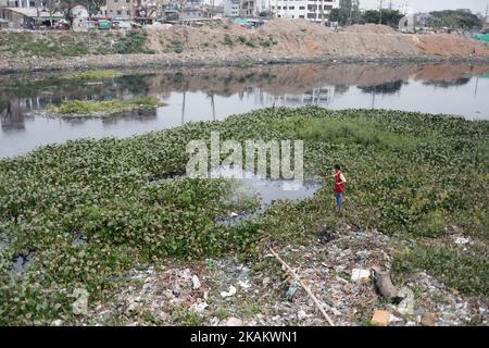 Dhaka, Bangladesch. 3.. November 2022. Ein Beamter eines Stadtkonzerns sprüht Larvenizid, um aedes-Larven an einem Kanal des Flusses Buriganga in der Nähe der Eisenbrücke bei Kamrangirchar in Dhaka, Bangladesch, zu töten. Die Dengue-Situation in Bangladesch ist die schlimmste der letzten Jahre. (Bild: © Md. Rakibul Hasan/ZUMA Press Wire) Stockfoto