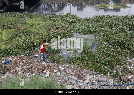 Dhaka, Bangladesch. 3.. November 2022. Ein Beamter eines Stadtkonzerns sprüht Larvenizid, um aedes-Larven an einem Kanal des Flusses Buriganga in der Nähe der Eisenbrücke bei Kamrangirchar in Dhaka, Bangladesch, zu töten. Die Dengue-Situation in Bangladesch ist die schlimmste der letzten Jahre. (Bild: © Md. Rakibul Hasan/ZUMA Press Wire) Stockfoto