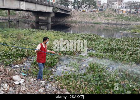 Dhaka, Bangladesch. 3.. November 2022. Ein Beamter eines Stadtkonzerns sprüht Larvenizid, um aedes-Larven an einem Kanal des Flusses Buriganga in der Nähe der Eisenbrücke bei Kamrangirchar in Dhaka, Bangladesch, zu töten. Die Dengue-Situation in Bangladesch ist die schlimmste der letzten Jahre. (Bild: © Md. Rakibul Hasan/ZUMA Press Wire) Stockfoto