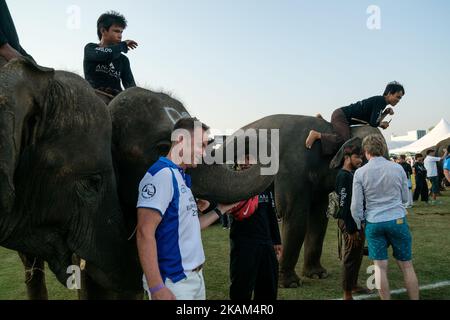 Ein Polo-Spieler reitet auf einem Elefanten während des King's Cup Elephant Polo-Turniers 2017 im Anantara Chaopraya Resort in Bangkok, Thailand, am 12. März 2017. Das King's Cup Elephant Polo ist eines der größten jährlichen Wohltätigkeitsveranstaltungen in Thailand. Seit dem ersten Turnier, das ursprünglich in der Küstenstadt Hua hin ausgetragen wurde, wurden 50 Straßenelefanten gerettet. Die jährliche Veranstaltung ermöglicht es, für die Dauer des Turniers weitere 20 junge Elefanten von der Straße zu nehmen, um ihnen das bestmögliche Futter zu bieten, sowie die einzige angemessene Veterinärkontrolle, die sie das ganze Jahr über erhalten.Elefanten sind ein Stockfoto