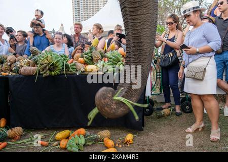 Elefanten genießen ihr Buffet, bevor sie das Polospiel während des King's Cup Elephant Polo Turniers 2017 im Anantara Chaopraya Resort in Bangkok, Thailand, am 12. März 2017 beginnen. Das King's Cup Elephant Polo ist eines der größten jährlichen Wohltätigkeitsveranstaltungen in Thailand. Seit dem ersten Turnier, das ursprünglich in der Küstenstadt Hua hin ausgetragen wurde, wurden 50 Straßenelefanten gerettet. Die jährliche Veranstaltung ermöglicht es, für die Dauer des Turniers weitere 20 junge Elefanten von der Straße zu nehmen, um ihnen das bestmögliche Futter zu bieten und die einzige angemessene Veterinärkontrolle zu erhalten, die sie wiederholen Stockfoto