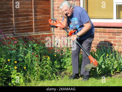 Gartenunfall eines älteren Mannes. Mit Strimmer und verursacht Augenverletzungen. Keine Schutzbrille tragen. Stockfoto