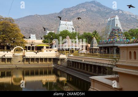 Tiruvannamalai, Tamil Nadu, Indien : Annamalaiyar Tempel und Annamalai Hügel aus dem Wasserbehälter im Vordergrund. Der Tempelkomplex ist einer der Stockfoto