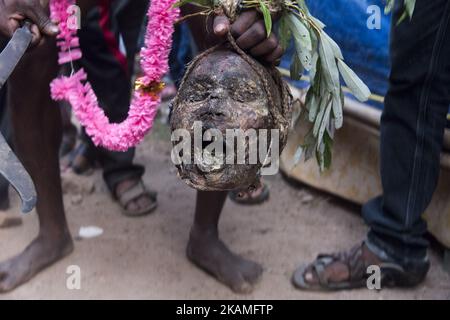 Ein Anhänger hält am 13. April 2017 in Burdwan, Indien, einen menschlichen Kopf in der Hand. 'Gajan' ist eines der prominenten Volksfeste Bengalens, das meistens von den geplanten Kastenmenschen an den letzten zwei Tagen des Monats Chaitra gefeiert wird. Diese Periode wird als chaita sankranti bekannt, wenn die Sonne in das Fische-Zeichen eintritt. Das Festival findet auf freiem Gelände statt und nicht in irgendjemandem. Menschen, die an diesem Fest beteiligt sind, werden von der Masse als die Vertreter von Herrn Shiva respektiert. Die Menschen glauben, dass das Festival ihnen Wohlstand beschert und alle Sorgen beseitigt, die sie in der erlitten haben Stockfoto