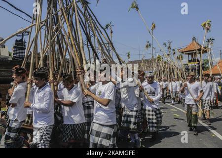 Junge Dorfbewohner versuchen während des Mekotek-Rituals, das von balinesischen Hindus im Dorf Munggu am 15. April 2017 in Badung, Bali, Indonesien, praktiziert wurde, eine hölzerne Pyramide aus Stäben zu machen. Das Mekotek-Ritual ist eine traditionelle Zeremonie im Dorf Munggu, bei der der symbolische Sieg des Guten (Dharma) gegen das Böse (Adharma) gefeiert wird, bei dem die Teilnehmer wiederholt auf eine hölzerne Pyramide aus Stäben klettern, wie sie von Zelebranten von einem Tempel zum anderen getragen wird. (Foto von Johanes Christo/NurPhoto) *** Bitte nutzen Sie die Gutschrift aus dem Kreditfeld *** Stockfoto
