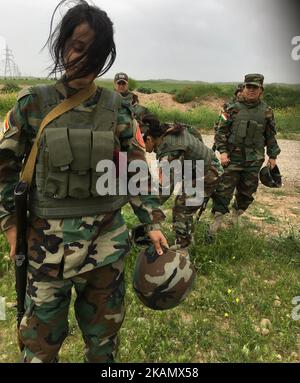 In der Ausbildungsbasis Bnaslawa südlich von Erbil, der Hauptstadt Irakisch-Kurdistans, absolvieren Männer und Frauen Peschmerga-Truppen Trainings, viele haben bereits Stadtkrieg erlebt und lernen neue Fähigkeiten. Hier werden Männer und Frauen von deutschen, niederländischen, französischen und italienischen Streitkräften ausgebildet, die den Peschmerga eine berufliche Ausbildung ermöglichen. Sie trainieren Peschmerga auf koalitionsversorgten schweren Waffen, Schieß- und Schlachtfeldmanövern, städtischer Kriegsführung, improvisierter Erkennung und Verbreitung von Sprengstoffen und medizinischer Hilfe. Die Basis ist eine wichtige Einrichtung, da sie in Zusammenarbeit mit der Stockfoto