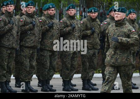 Feier des 72.. Jahrestages des Endes des Zweiten Weltkriegs im Denkmal der „Krakauer Armee“ auf dem Rakowicki-Friedhof in Krakau. Am Montag, den 8. Mai 2017, in Krakau, Polen. Foto von Artur Widak *** Bitte nutzen Sie die Gutschrift aus dem Kreditfeld *** Stockfoto