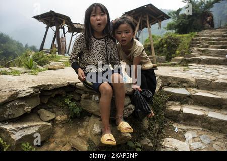 Reisfelder im Gebiet Sa Pa im Norden Vietnams. Die Stadt Sa Pa, ein bergiger Ort vor dem höchsten Gipfel Vietnams, Phan Si Pan, einem ruhigen Ort, an dem die Bewohner der Hmong-Volksgruppe von Vieh- und Reisanbau an den Hängen des Berges lebten, In den letzten Jahren hat dieses Paradies begonnen, viele Touristen, vor allem Vietnamesen, anzugreifen. Diese nehmen etwa die achtzig Prozent der Gesamtmenge an. Zu seinen Attraktionen gehört das nahe gelegene Cat Cat Village oder die atemberaubenden Wasserfälle von Thac Bac (Silver Wasserfall), und seine Bewohner versuchen, ihre traditionelle Art der l zu kombinieren Stockfoto