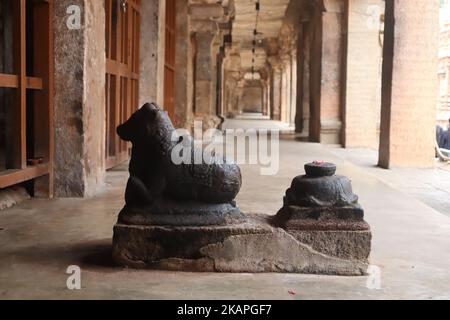 Schwarze Nandi-Statue im Tanjore Brihadeeswarar-Tempel. Stockfoto