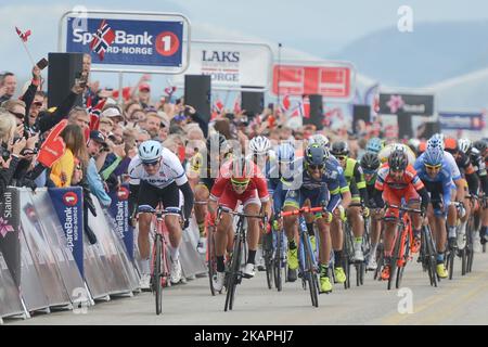 Alexander Kristoff (links) aus Norwegen vom Team Katusha–Alpecin sprintet, um die zweite Etappe zu gewinnen, die 184,5km vom Sjovegan zum Flughafen Bardudoss, während des Arctic Race of Norway 2017. Am Freitag, den 11. August 2017, in Bardufoss, Nordland County, Norwegen. Foto von Artur Widak *** Bitte nutzen Sie die Gutschrift aus dem Kreditfeld *** Stockfoto