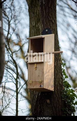 Neue Eule Nistkasten auf einem großen Baum im Wald. Stockfoto