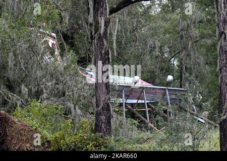 Am 11. September 2017 fiel ein Werbegesing zwischen mit spanischem Moos bedeckten Bäumen entlang der Interstate 75 im Norden Floridas. Das Überschwemmungswasser stammt aus Teilen von Jacksonville, FL, nachdem der Hurrikan Irma eine unerwartete Wendung genommen und massive Stromausfälle und Küstenüberflutungen um den Staat herum verursacht hat. (Foto von Bastiaan Slabbers/NurPhoto) Stockfoto