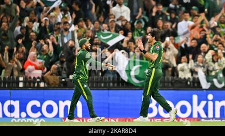 Sydney, Australien. Am 03. November 2022 feiert Mohammad Wasim aus Pakistan das Wicket während des ICC Men's World Cup Match T20 zwischen Pakistan und Südafrika auf dem Sydney Cricket Ground am 03. November 2022 in Sydney, Australien. DAS BILD DARF NUR REDAKTIONELL VERWENDET WERDEN – ES DARF NICHT KOMMERZIELL VERWENDET WERDEN Stockfoto