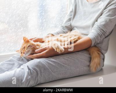 Niedliche Ingwer-Katze liegt auf den Knien der Frau. Frau in grau Pyjama streichelt flauschiges Haustier. Gemütlicher Morgen zu Hause, während draußen Schnee fällt. Stockfoto
