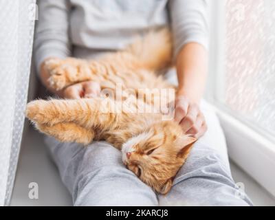 Niedliche Ingwer-Katze liegt auf den Knien der Frau. Frau in grau Pyjama streichelt flauschiges Haustier. Gemütlicher Morgen zu Hause, während draußen Schnee fällt. Stockfoto