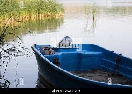 Altes, leuchtend blaues Motorboot und Schilf in der Nähe von Ufer im Flusswasser angedockt Stockfoto