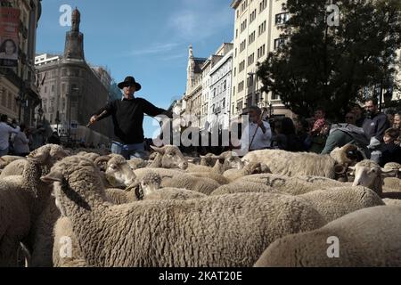 Hunderte von Schafen entlang einer Straße im Zentrum von Madrid, Spanien, 22. Oktober 2017. Während der Ausgabe 24. der Fiesta de la Transhumancia (Transhumance Festival). Die jährliche Veranstaltung sieht Hunderte von Schafen durch die spanische Hauptstadt geführt in einer Tradition der saisonalen Viehwanderung aus dem Mittelalter gehalten, um die Bedeutung der Hirten in der ländlichen Entwicklung und ihre Kultur in Spanien zu betonen. (Foto von Oscar Gonzalez/NurPhoto) Stockfoto