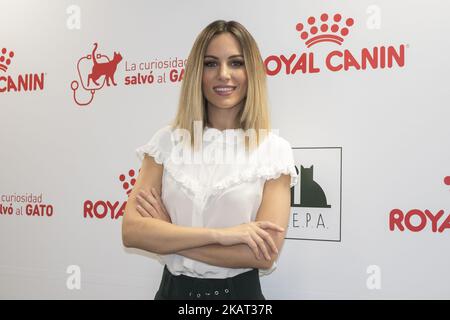 Die Sängerin Edurne präsentiert am 24. Oktober 2017 in Madrid, Spanien, die Kampagne „Nehmen Sie Ihre Katze zum Tierarzt“. (Foto von Oscar Gonzalez/NurPhoto) Stockfoto